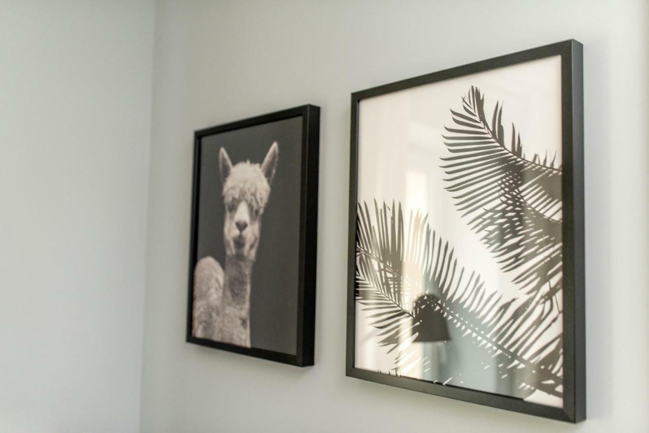 Apartmán Lesna#46 Olštýn Exteriér fotografie
